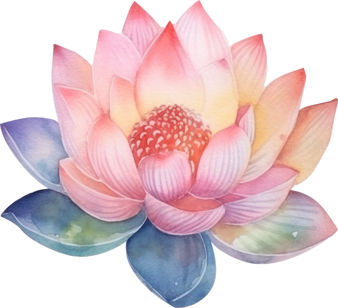 Lotus Flower Watercolor Illustration